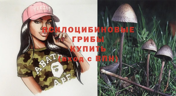 СК Горняк