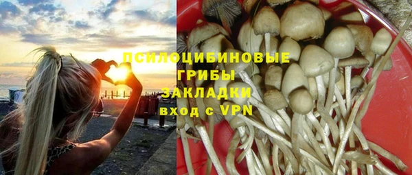 СК Горняк