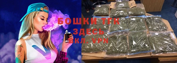 СК Горняк