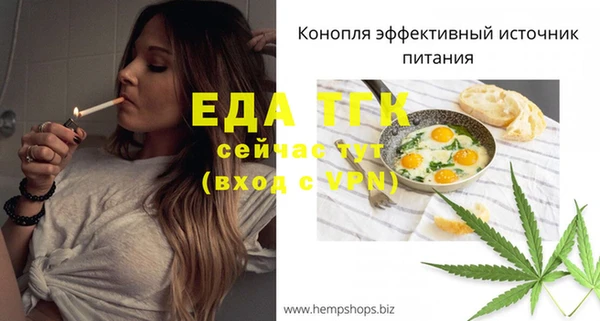 СК Горняк
