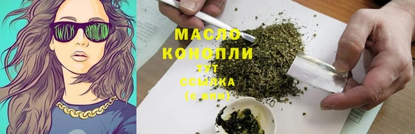 СК Горняк