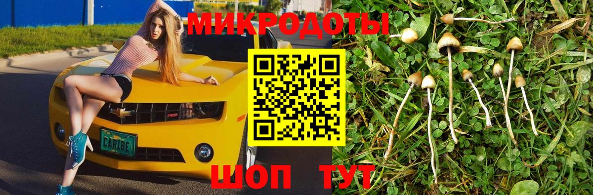 Галлюциногенные грибы мухоморы  Вход с VPN  купить наркотики сайты  Минеральные Воды 